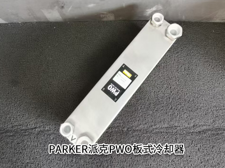 派克PWO B25THx100 G1 1/4 G1 派克PWO B25THx100 G1 1/4 G1