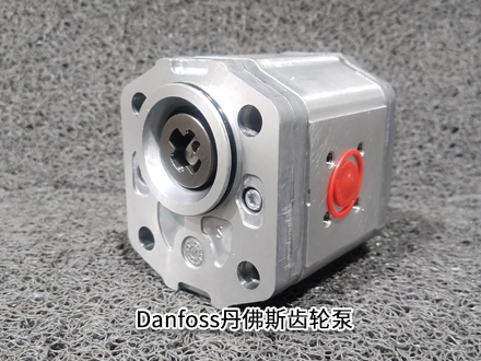 丹佛斯111.20.080.00 SNP2NN/011RN03CA 丹佛斯111.20.080.00 SNP2NN/011RN03CA